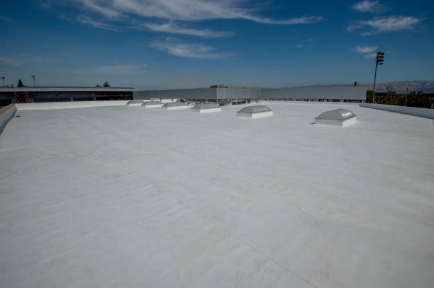 Best Roof Maintenance and Cleaning  in Heath, TX