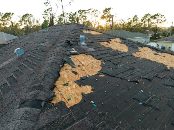 Best Green or Eco-Friendly Roofing Solutions  in Heath, TX